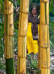 Gardens Portrait Claude Felbert Photography Cape Town